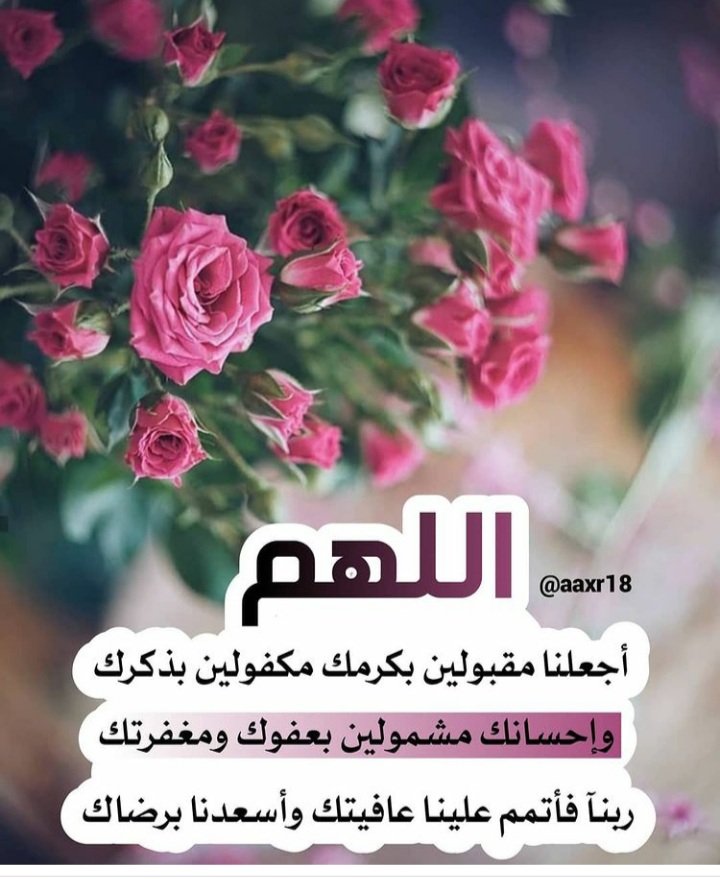 Mohamed omar (@1acqrmqdirug8k2) on Twitter photo 