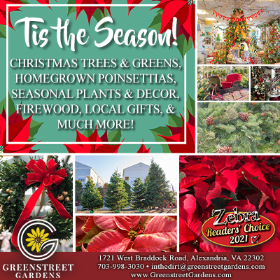ZebraAlexandria's tweet photo. Tis the season for Christmas trees, wreaths, firewood, and all sorts of seasonal goods that you can get at Greenstreet Gardens!

#Greenstreet #GreenstreetGardens #Winter #Christmas #Holidays #Wreaths #Christmastree https://t.co/JkdUi7R5jW