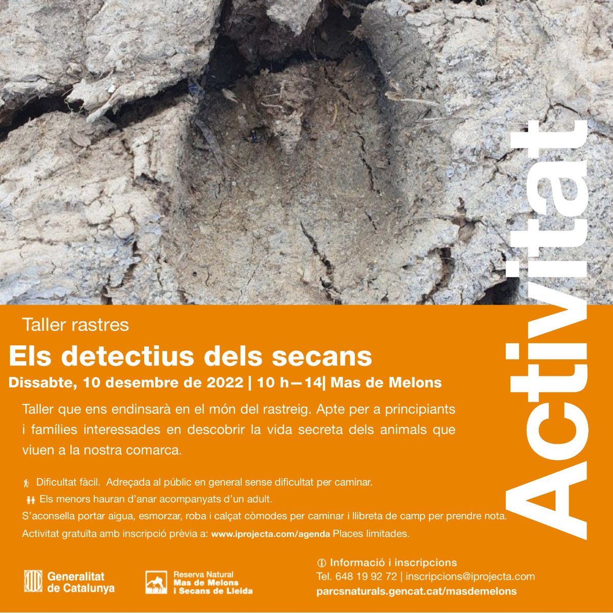 iprojecta_guies's tweet image. Estàs a punt per fer de detectiu? 🕵️

🎟️ Avui us portem dues noves activitats familiars. Dos tallers de rastres per conèixer als animalons que viuen als nostres parcs.

🔗 No t&apos;ho perdis! + info a la web: iprojecta.com/agenda

#iprojecta #tallerderastres #detectius #sortida