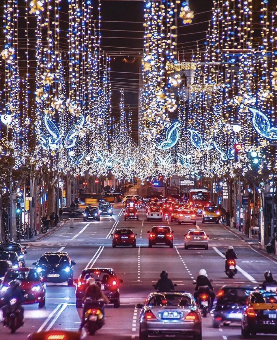 Si quieres estas luces para las próximas Navidades. Entonces aprende a Votar en el 2024 #fuckPRD