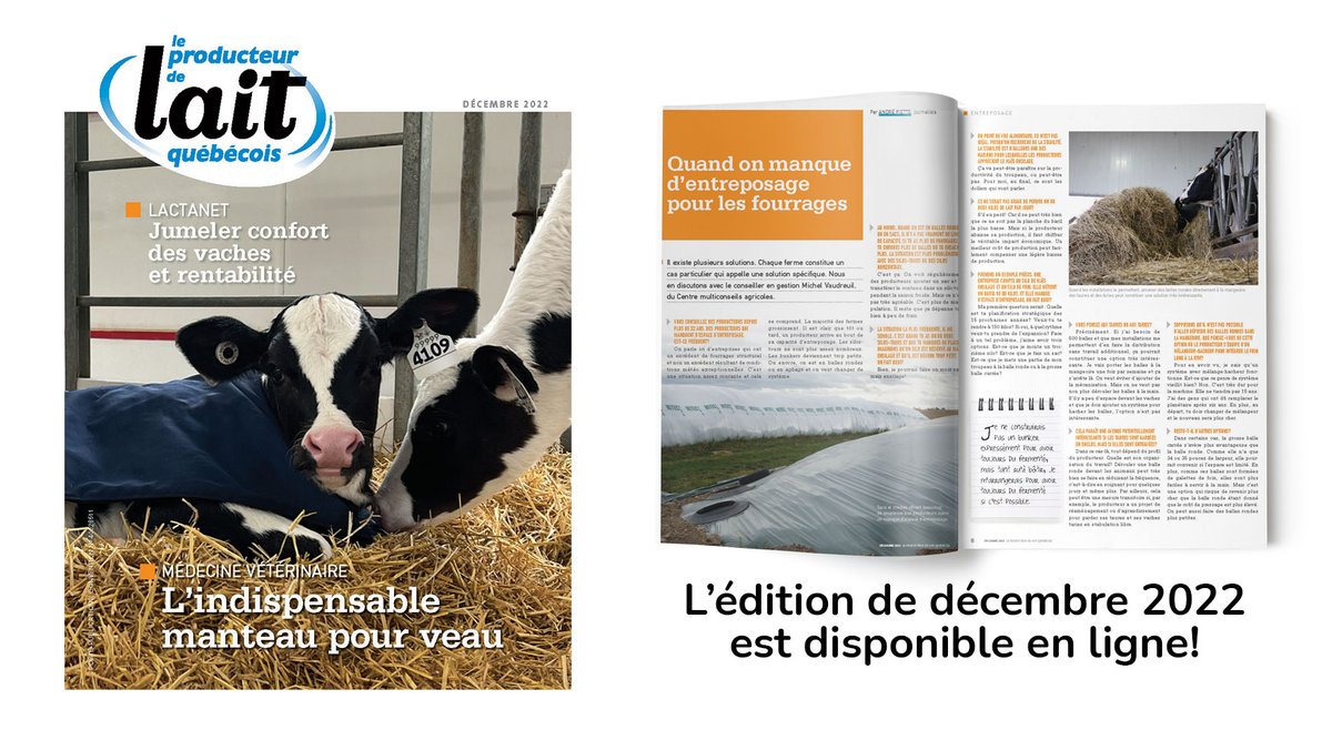 Ce mois-ci dans la Revue, vous trouverez des solutions pour l’entreposage des fourrages,  la rentabilité sur le confort des vaches, les impacts des minéraux traces dans l’alimentation des vaches et le manteau pour veau! 

Lire la revue 👉bit.ly/3Uroj9m