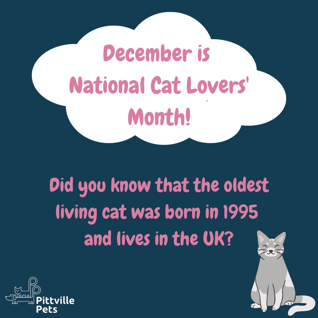 Pittville Pets and PAWS CIC tweet media