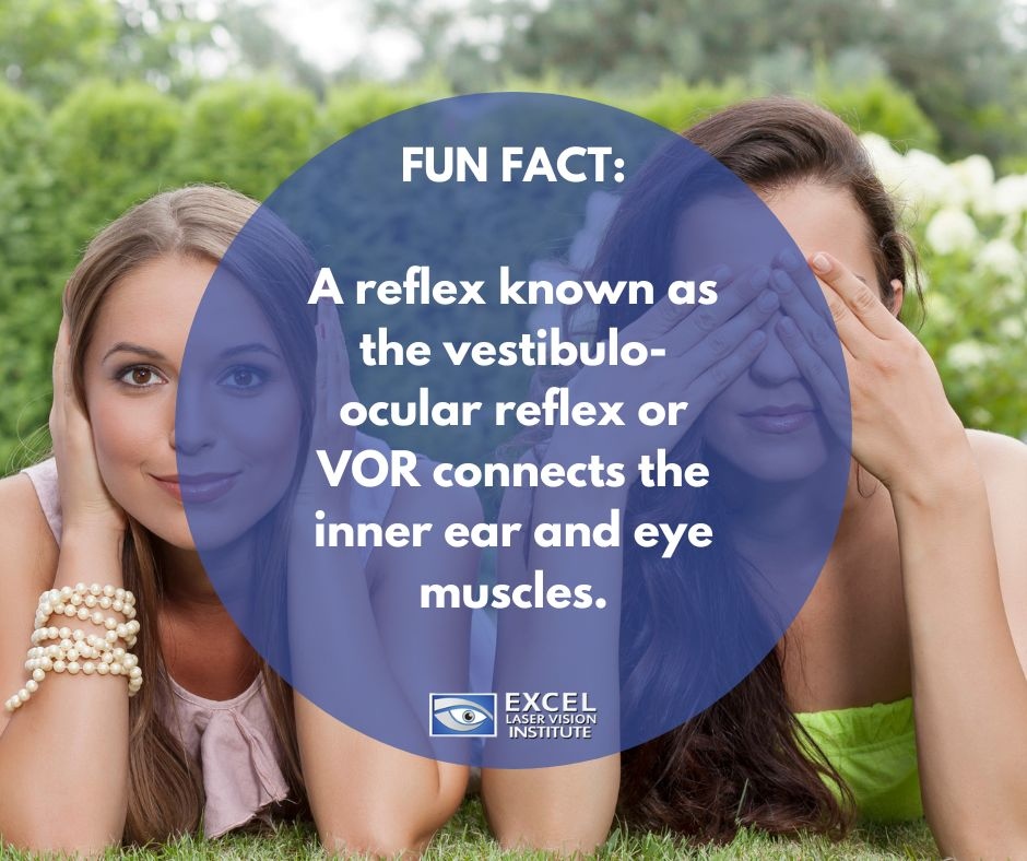 Excel_Eye's tweet photo. A reflex known as the vestibulo-ocular reflex or VOR connects the inner ear and eye muscles. This reflex has only two nerve junctions along its path, making it one of the fastest in the body.
#lasikorangecounty #lasikeyecenterlosangeles #benefitsofclearvision #funeyefacts https://t.co/L0JK4X3wDd