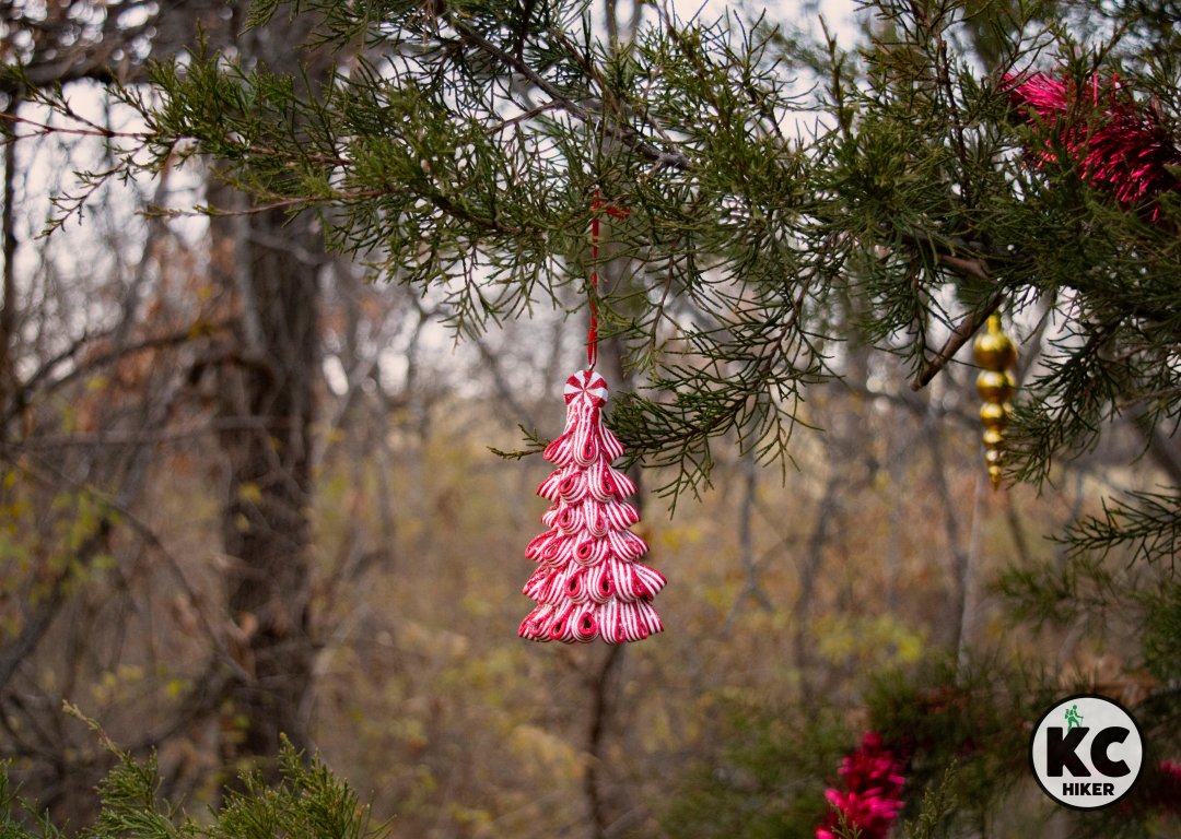 leessummitgo's tweet image. “O Christmas tree, O Christmas tree, how lovely are thy branches.&quot;

On the Longview Horse Trail, we stumbled upon a couple decorating an evergreen tree in the forest Sunday. It’s a tradition they’ve carried on for several years in memory of a friend.
bit.ly/3H8gnqw
