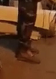 NILSON VET 12 🇧🇷 tweet media