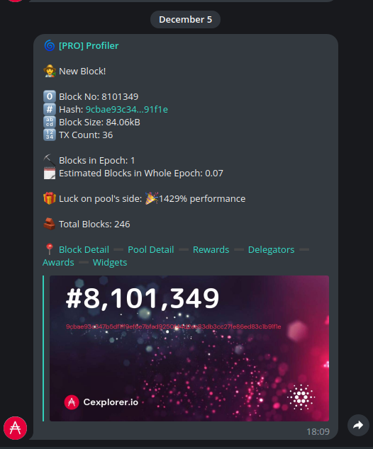 Profiler | Entrepreneur | SPO tweet media