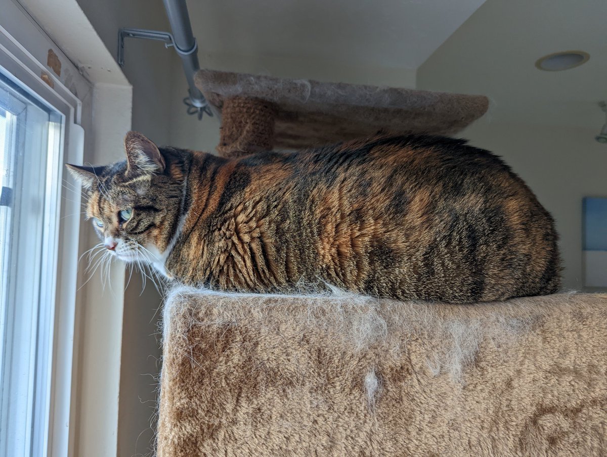 Ray Snoke tweet media