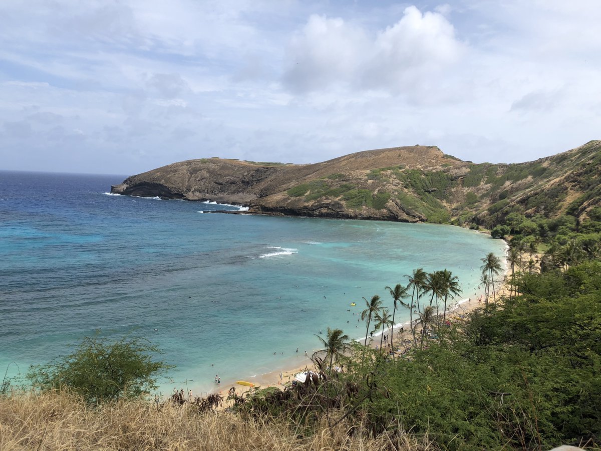 MyLittlePhotos7's tweet photo. @DailyPicTheme2 #Hawaii #Travel https://t.co/hYRIKe9zHv
