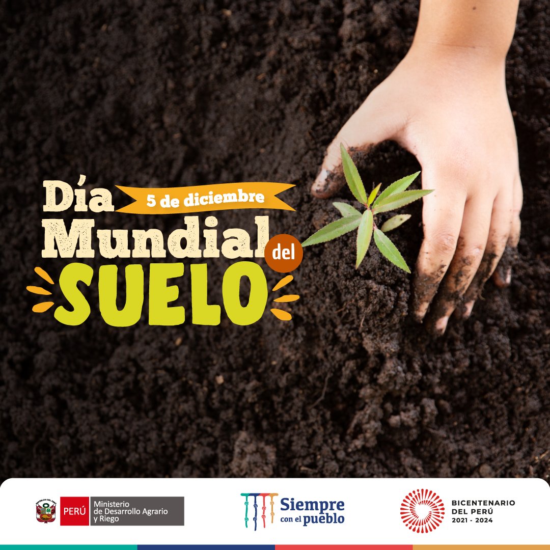midagriperu's tweet image. #DíaMundialDelSuelo
🌱 Es un recurso natural no renovable, que provee el 95% de los alimentos siendo crucial para el sostén de la vida humana y animal 🌎.