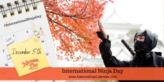 The only ninja I know is my cat Today, but this day always makes me smile so HAPPY INTERNATIONAL NINJA DAY - December 5 via @NationalDayCal https://t.co/dm9lTwKaJp https://t.co/XIiZ3d6MH5