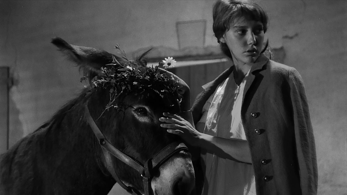 Geçmişte Bugün (5 Aralık 2001):

🎥  Au hasard Balthazar (Rastgele Balthazar / Robert Bresson, 1966)

En sevdiğim Bresson filmlerinden Balthazar'ı sinemada izlediğimi tamamen unutmuşum. Sonra kim bilir kaç defa daha seyrettim - listemde sayısı mevcut, ama bakmaya üşendim... :))