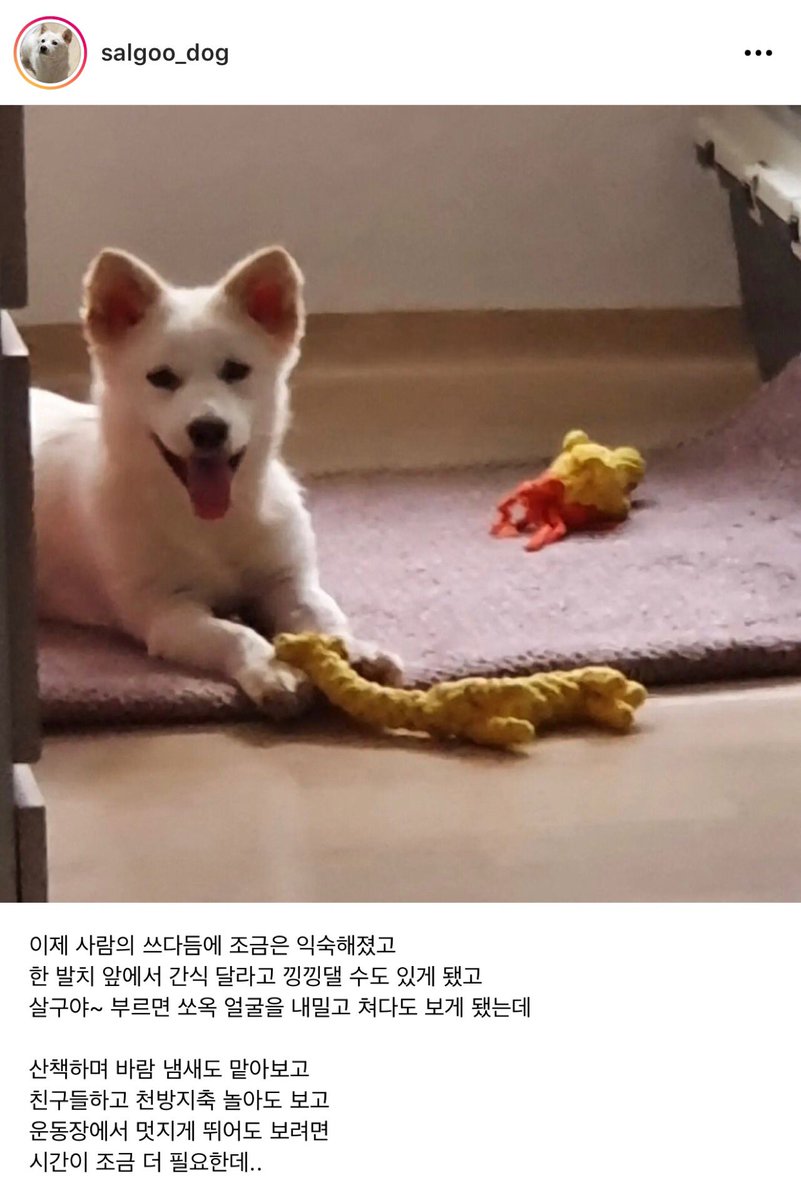 맘모스빵🍞 tweet media