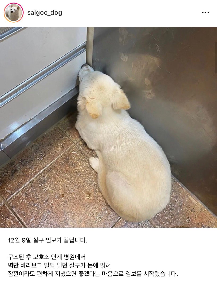 맘모스빵🍞 tweet media