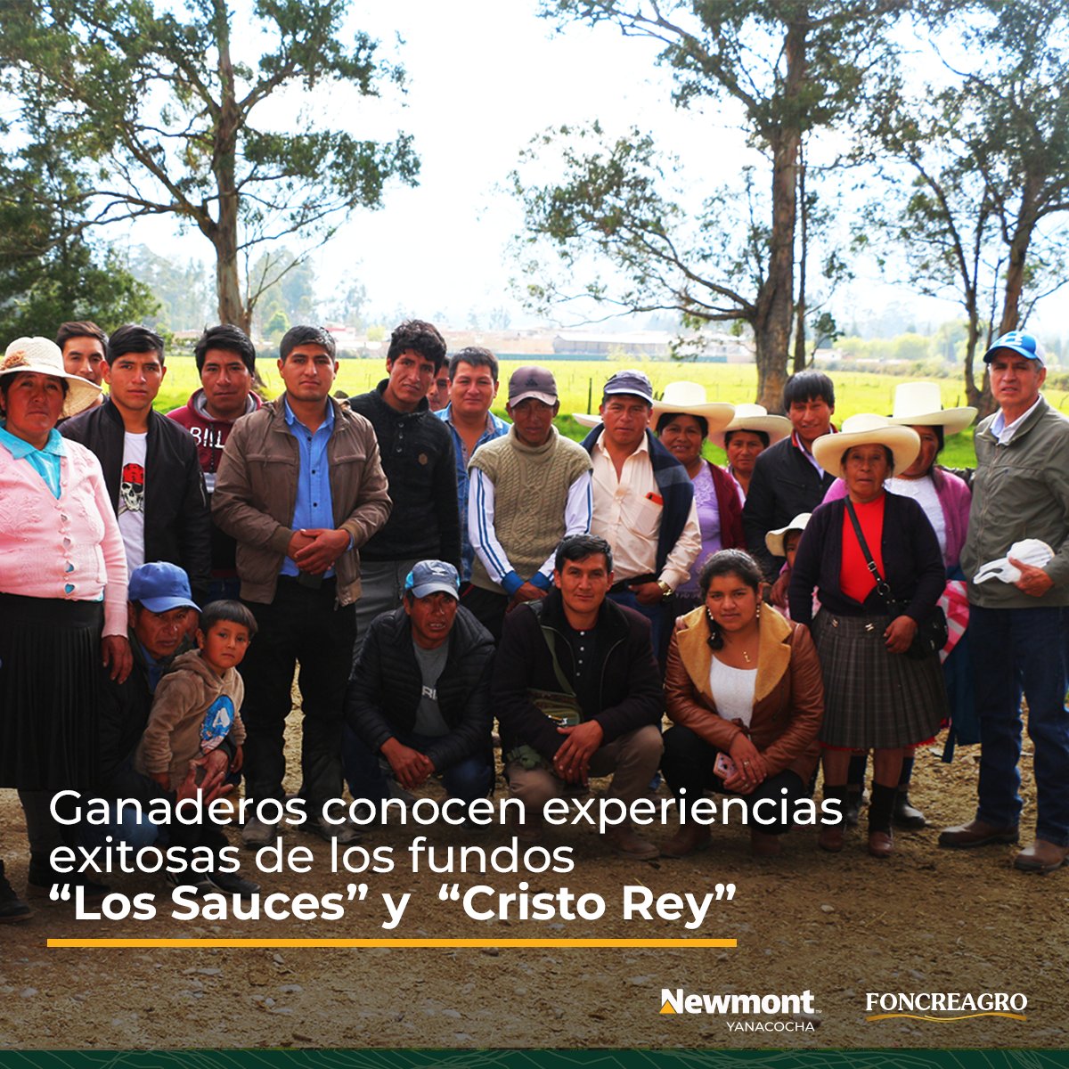 FoncreagroCaj's tweet photo. 25 productores del C.P. Combayo, en La Encañada, visitaron los fundos de ganaderos locales, con el fin de conocer nuevas técnicas de manejo de ganado y replicarlos en sus fundos. (1/3) https://t.co/fhVgQR7H2n