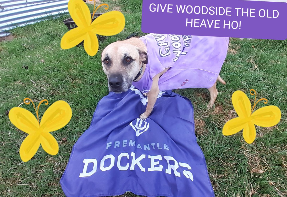 australia_wise's tweet photo. Tell the Dockers to give Woodside the heave ho! #foreverfreo 
https://t.co/G1ceqbxckF https://t.co/P1N5F888wf