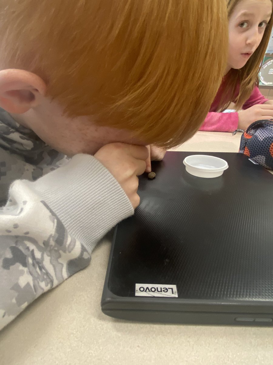 Amber Curtis (Bollinger) tweet media