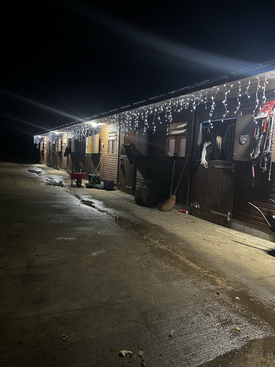 lottiekitt's tweet photo. Christmas lights all put up at the yard have a feeling they will end up just staying up #christmas #beginningtofeellilechristmas #stable #pony https://t.co/2t9wBjRMRl