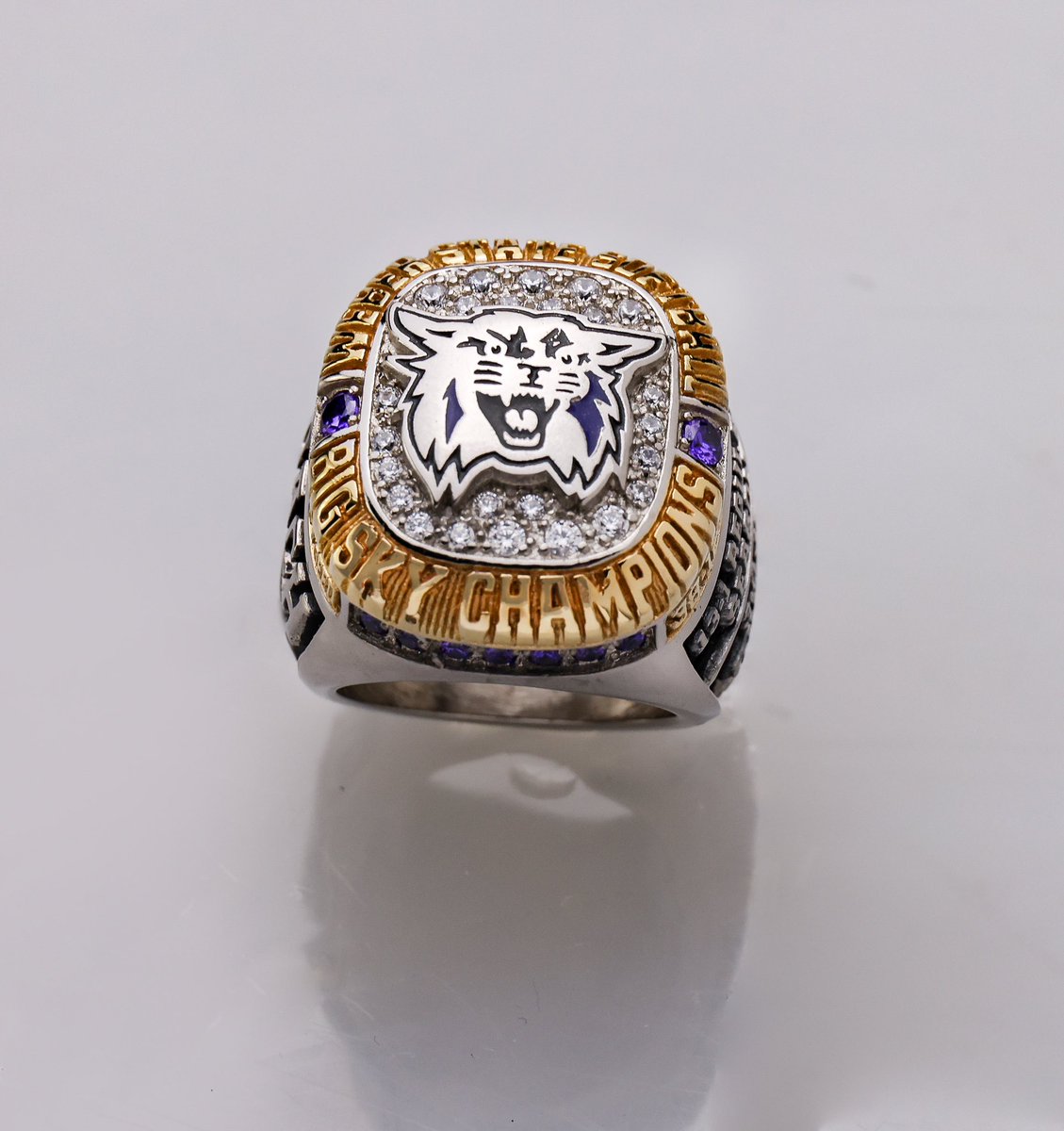 wsusoftball's tweet photo. 💍💍💍💍💍💍💍

#wsusoftball // #WeAreWeber https://t.co/1NWf0xVntL