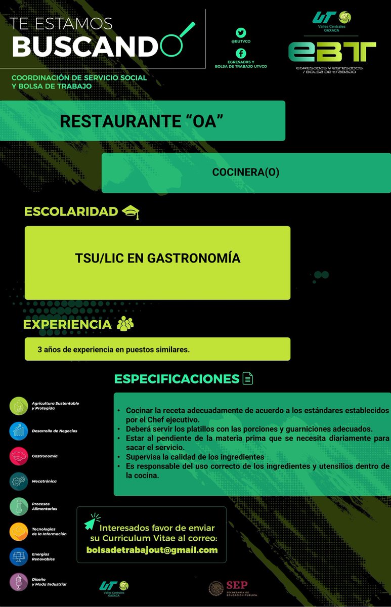 BUtvco's tweet photo. Restaurante OA Solicita 

✅Chef Ejecutivo
✅Cocinera(a).
✅Capitán de Meseros.
✅Barista
✍ Interesados mandar su C.V. a 
✅bolsadetrabajout@gmail.com 

@gastroutvco 
@utvco https://t.co/bYwg7u4cEh