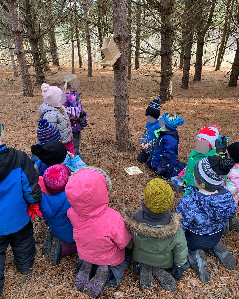 teresa_hadley's tweet photo. Day 3 Countdown: Bird Count! We checked our feeders and found that the lid was off &amp; all the seeds were gone. We had many theories about what happened including birds, the storm, a person, a squirrel or a fox. We looked closely for clues.
#outdoorlearningenvironment #kindergarten https://t.co/WLVN5DjFNQ