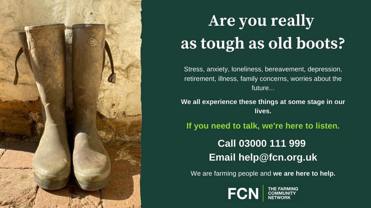 FCNSuffolk (@fcnsuffolk) on Twitter photo 