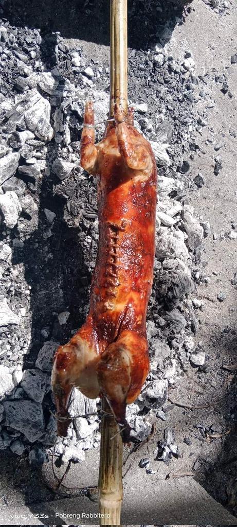 greenfarmsng's tweet photo. We are just a call away from you. Organic rabbit meat.
#QuatarWorldCup2022 #petrolprice #PeterObiForPresident2023 #WIZKIDFC #FIFAWorldCup #Lekki https://t.co/F8VuGnEfRY