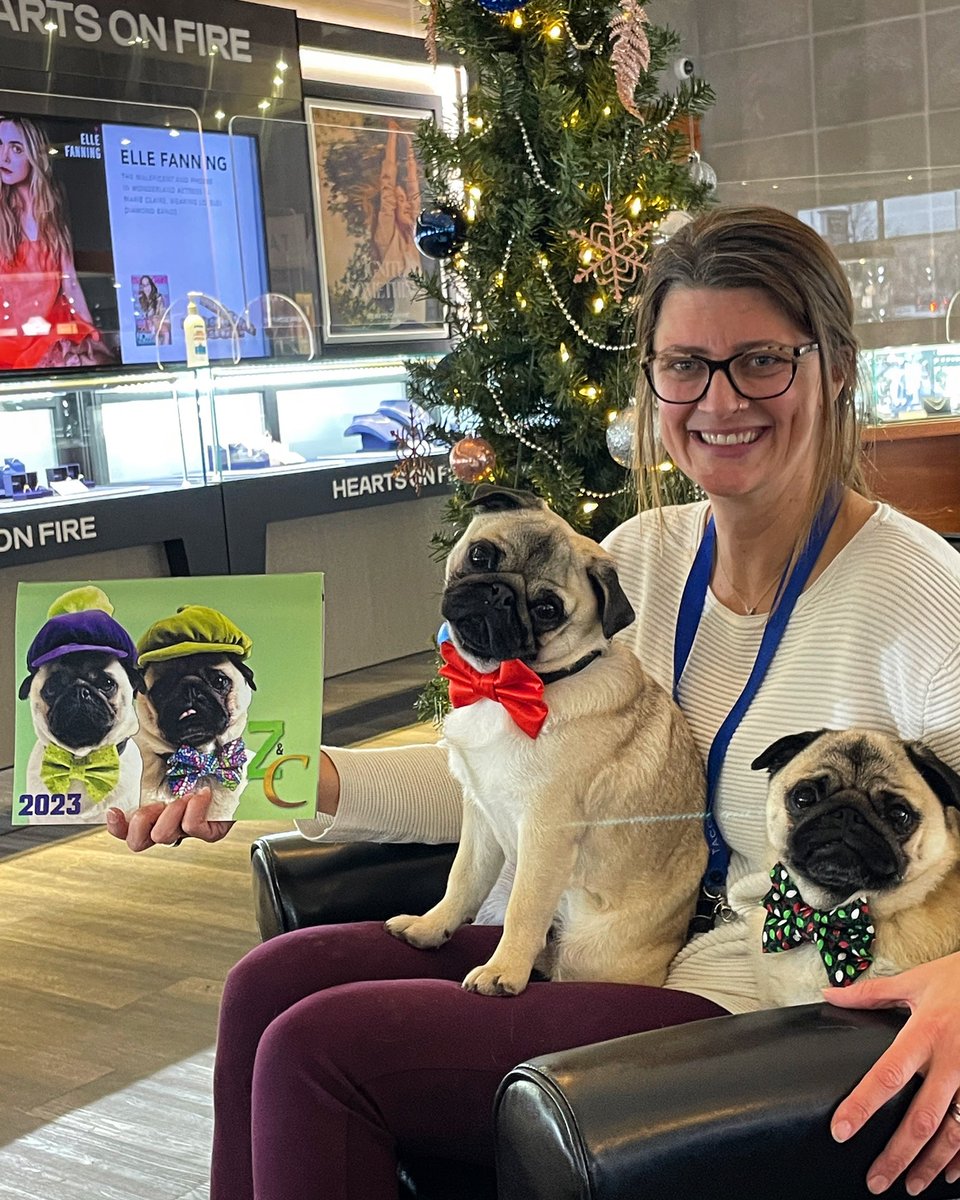 IgorPugDog's tweet photo. A BIG THANK YOU to #GordonsGoldJewellers for all their support for the last 10 yrs in support of #PugalugPugRescue 💜🎄💚

#pugrescue #pug #kdnont https://t.co/fVv3nJEOiT
