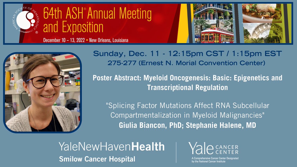 Yale Cancer Center (@yalecancer) on Twitter photo Today at 12:15pm CST, Dr. Giulia Biancon <a href="/biancongiulia/">giulia_biancon</a> will share new research on myeloid malignancies #ASH22 <a href="/SmilowCancer/">Smilow Cancer Hospital</a> <a href="/YaleMed/">Yale School of Medicine</a> <a href="/YNHH/">Yale New Haven Hosp</a> <a href="/YaleHematology/">YaleHematology</a> Today at 12:15pm CST, Dr. Giulia Biancon <a href="/biancongiulia/">giulia_biancon</a> will share new research on myeloid malignancies #ASH22 <a href="/SmilowCancer/">Smilow Cancer Hospital</a> <a href="/YaleMed/">Yale School of Medicine</a> <a href="/YNHH/">Yale New Haven Hosp</a> <a href="/YaleHematology/">YaleHematology</a>