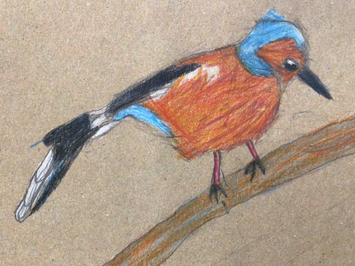 BhsartD's tweet photo. Beautiful blending on these brilliant birds by S1. Well done to you all, superb concentration, focus and talent on display! https://t.co/9jrKxOqIsk