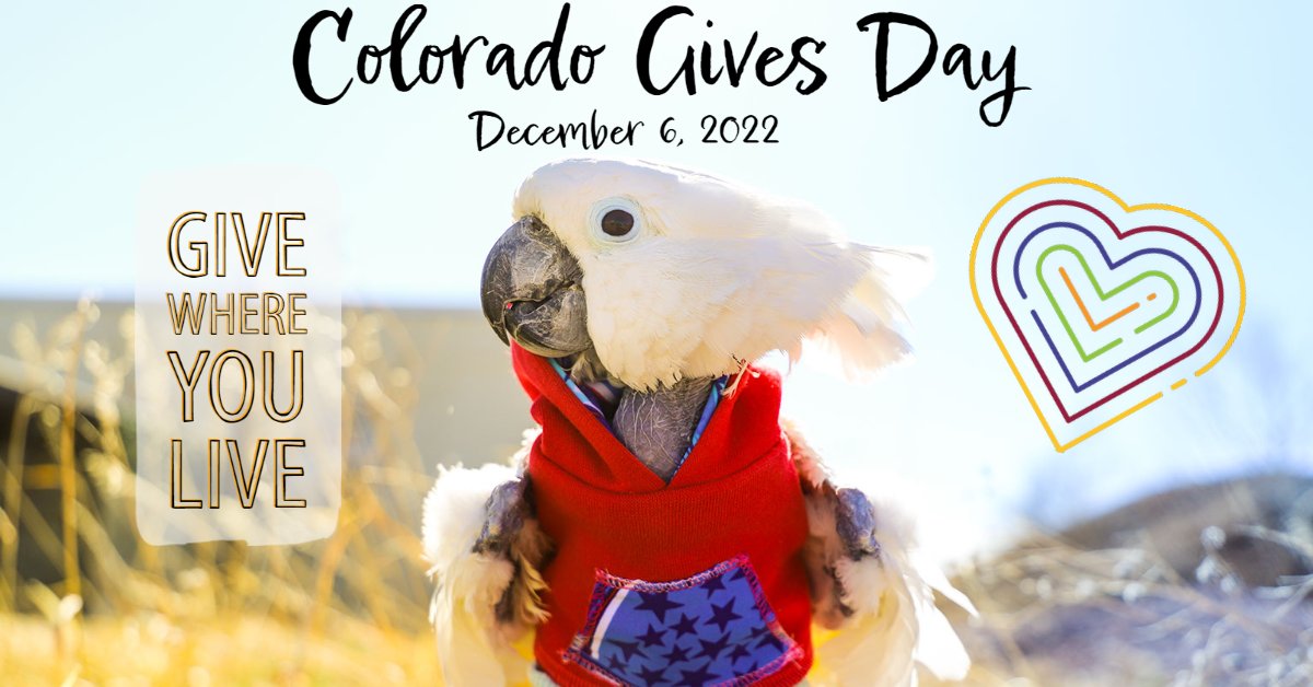 Support Parrots in Colorado Tomorrow 🐦 - mailchi.mp/thegabrielfoun…