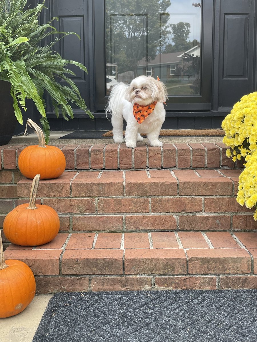 Penelope