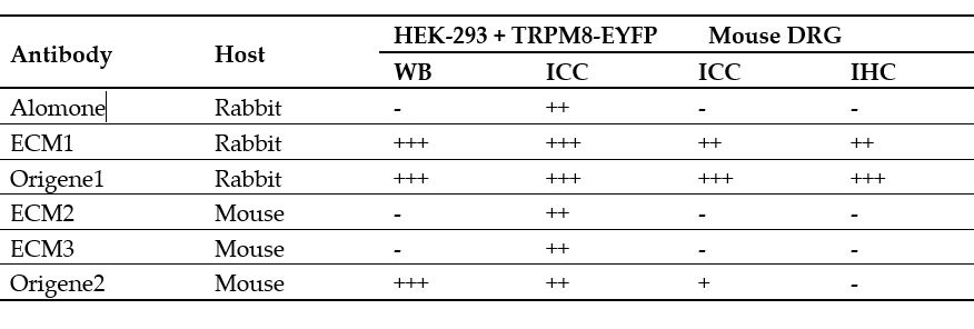 neuroviana's tweet photo. Validation of six commercial antibodies for detection of heterologous and endogenous TRPM8 ion channel expression https://t.co/7pAhgNQpAq https://t.co/wPOolgc0IW