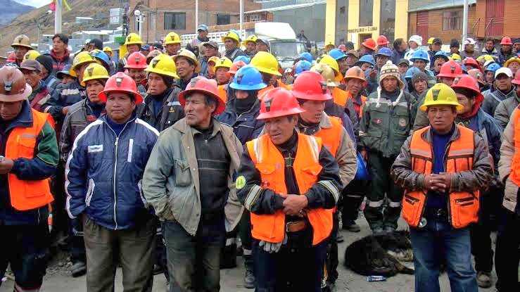 Oscar Zea tweet media