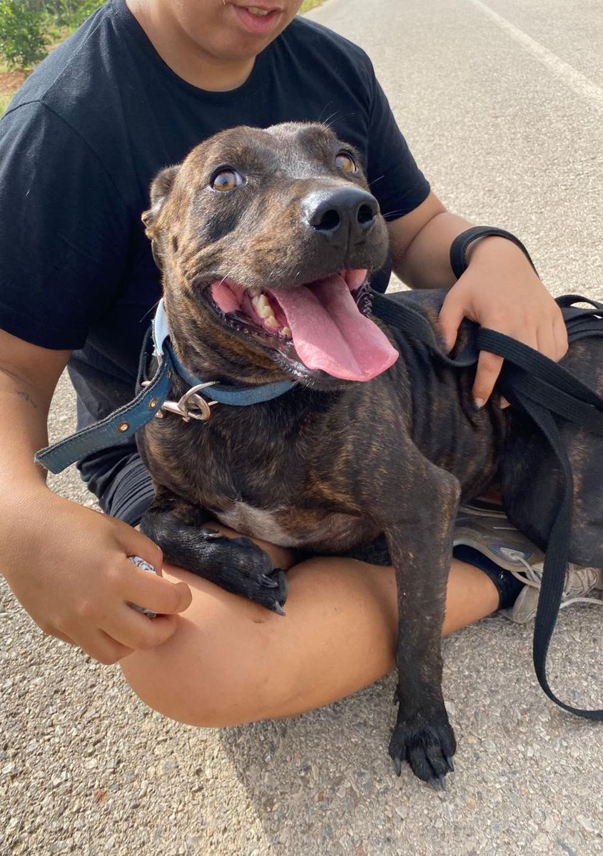 modepran's tweet image. #YoAdoptoYSalvoVidas
Ven a adoptar

 Modepran Carlet : 9 a 14 y de 15 a 18
📍 Modepran Carlet
goo.gl/maps/XATwE7dmd…

Modepran Valencia: 10 a 13 y de 16:30 a 19
📍 Modepran
goo.gl/maps/ZW1u6J5Pb…