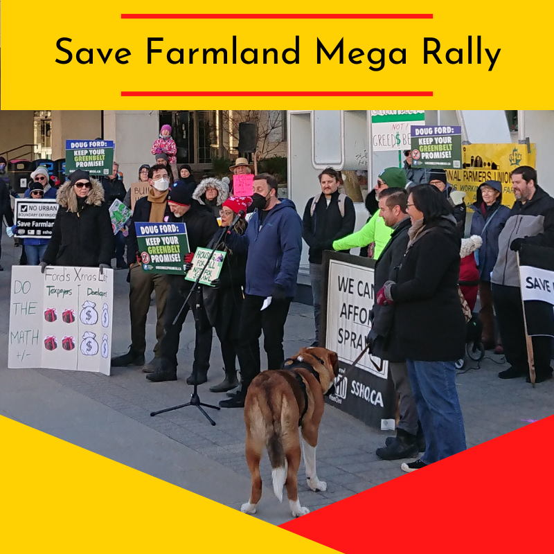 HamOntWard4's tweet photo. So glad to see so many councillors stand together on this. It was inspiring to see hundreds of Hamiltonians show up at City Hall to support our current urban boundary. (@jpdanko's dog made an appearance)
#Bill23 #StopSprawlHamOnt https://t.co/S0q1MJZT3T