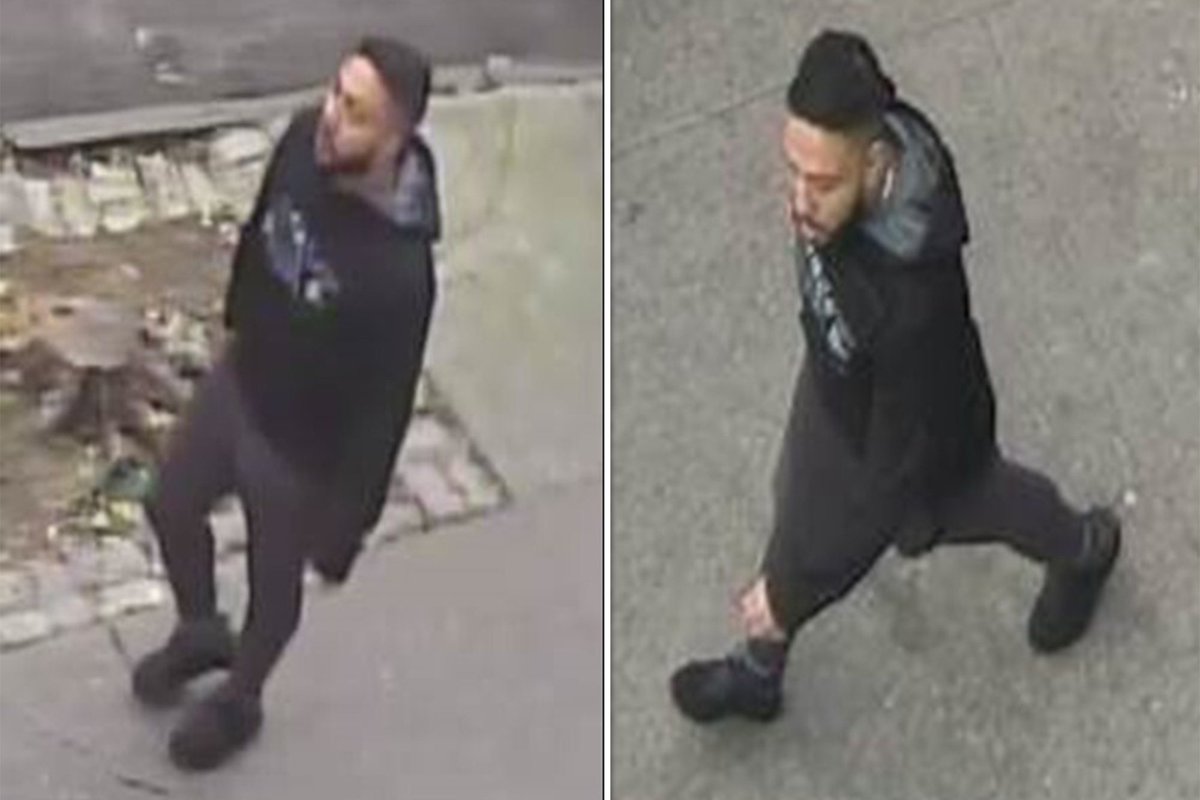 Sar_E_Bear tweet media