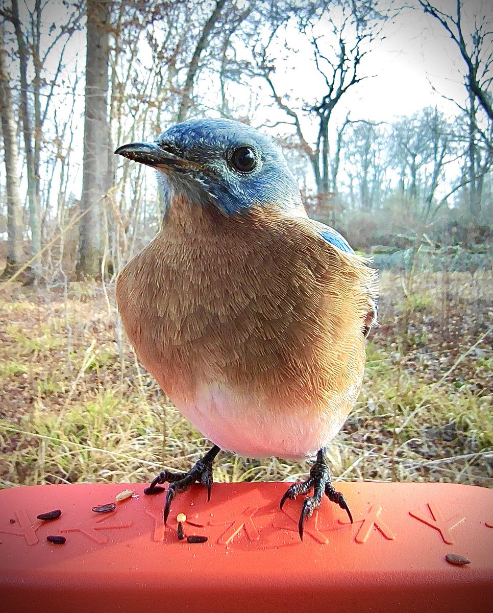 Darren Kramer tweet media