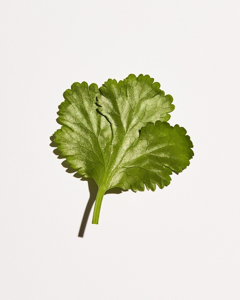 Check out my colourful food, drink and still life photography at nancy-anne.com