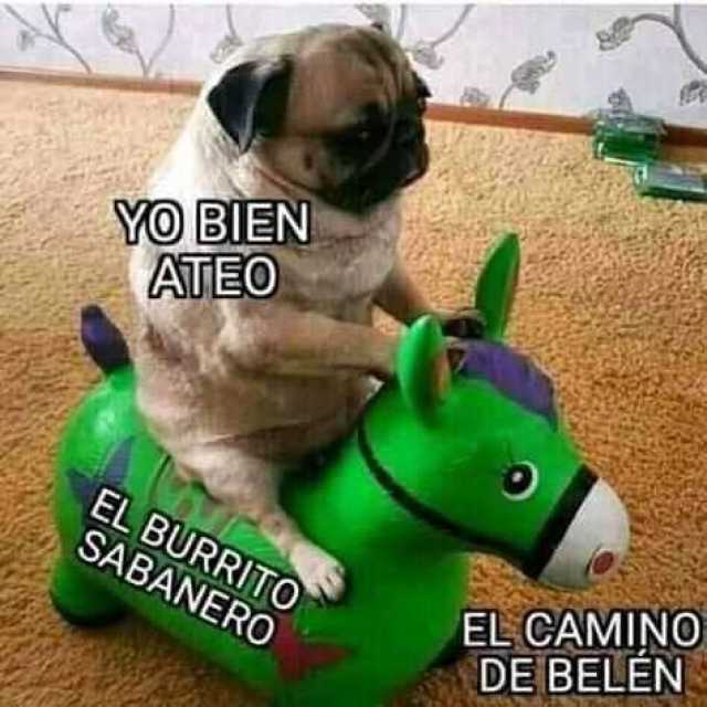Ustrinum's tweet photo. No me escondo: https://t.co/f954ybOmVu