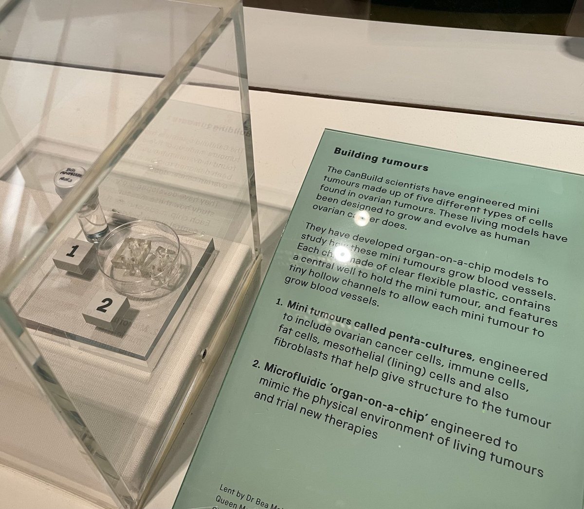 Irene Marco-Rius tweet media