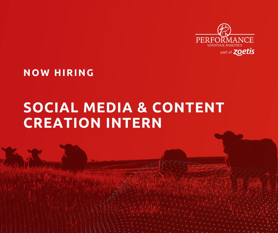 PerformanceBeef's tweet photo. ๐ Hey college students! Weโre hiring a Social & Content Intern next summer.
Be a part of an awesome team thatโs helping shape the livestock industry through technology, data and insights.
Apply now: https://t.co/vlGExWHD2H
#internship #agintern #agtech #agjobs #cattle https://t.co/QRrfduUdGH