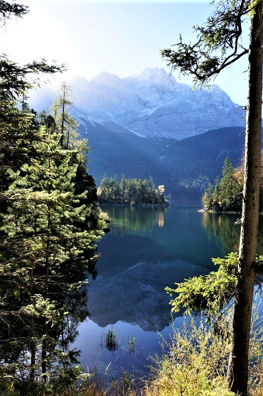 Night thoughts
According to calculations by CREA and Greenpeace, air pollution leads to 4.5 million premature deaths/year worldwide and air pollution causes costs of 2.9 trillion Dollars (2.7 trillion €), about 3.3 % of the world's economic output. We need more trees 🌱🌳🌿🍀💚