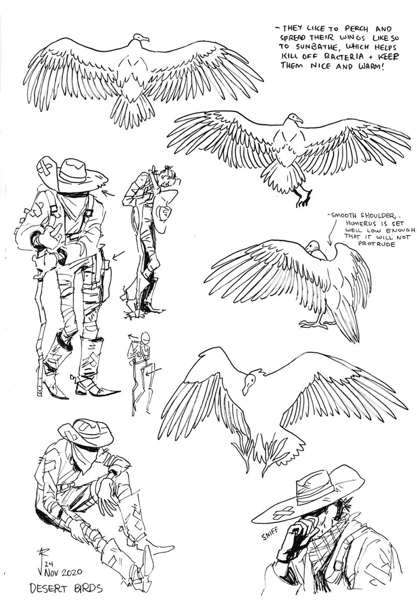 Bloombeard's tweet photo. Only TWO DAYS LEFT to pledge for a copy of Desert Birds! Here's some more early concept art Jack drew when designing the characters. Let's get this thing over the line!!!

https://t.co/PUZXOew435

#characterdesign #conceptart #kickstartercomics #indiecomics  #comics #birds https://t.co/TUYDfcR1jb