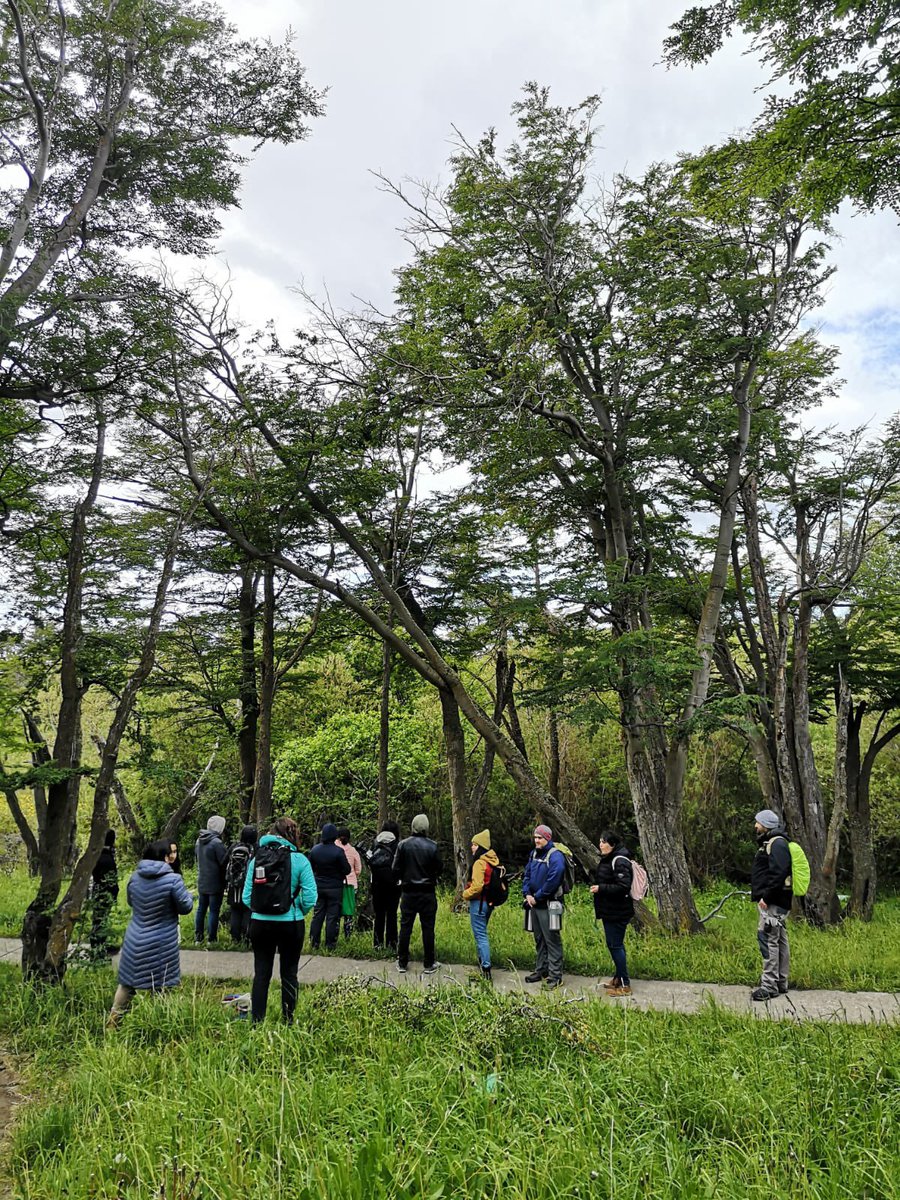 MMAMagallanes's tweet photo. El sábado realizamos una caminata por el Parque y Humedal Urbano María Behety junto a vecinas, deportistas y funcionarios/as de @munipuq y @minvumagallanes que participan en la creacion del Plan de Manejo.Descarga la guía de Ed. Ambiental al Aire libre en https://t.co/w4mbTthypO https://t.co/GVLEsrUNT4