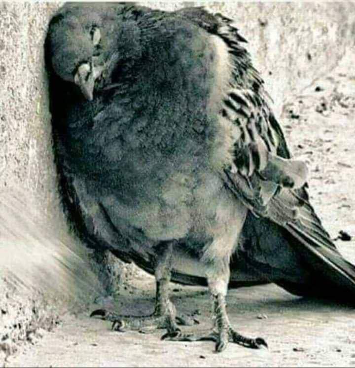 any person...
 You have such a bitter story in your life.
 What do you understand?
  The heart of the world should be toured.
 Huh
 Not everyone has art
 Which is a bitter story or a story,
😔😔😔  !!