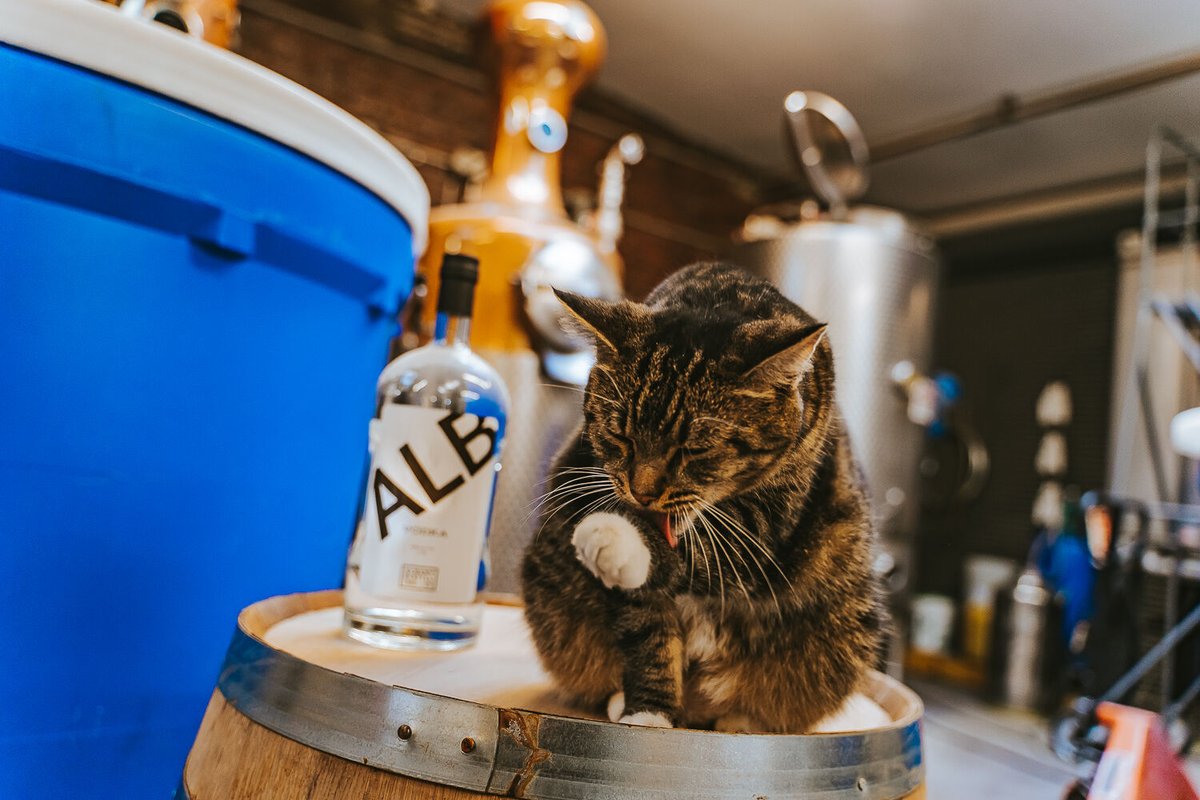 Happy #MontyMonday everyone! Don't forget to grab your holiday bundles at @adcobarandbottle shop.

Vodka Bundle, $50
Includes a bottle of your favorite ALB Vodka, two logo rock glasses, an ADCo tee shirt, and a $25 gift card.

Whiskey Bundle, $80
Includes a bottle of your favorit