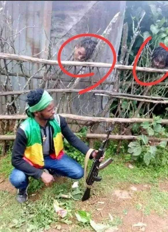 wedihussen's tweet photo. The #Eritrean_government-trained
Ethiopian #Interhamwe ;#FANOamharamilitia-have committed all forms of wickedness in #Tigray & are carrying out the same heinous crimes
acts in #Wollega
#Oromiya.
#FanoIsATeroristGroup
@Telegraph
@AJEnglish
@BBCWorld
@SydneyHerald
@CNN https://t.co/Mp0QK2g7DF