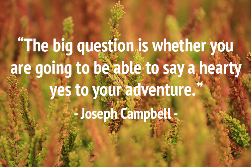 YMCA Blue Water Area tweet media