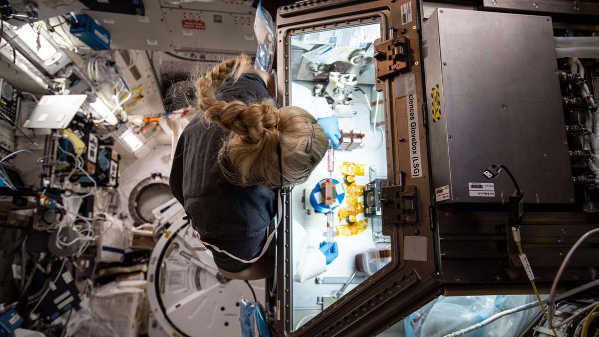 NEW #RESEARCH OPPORTUNITY! The ISS National Lab & the @NSF have released a joint solicitation seeking projects focusing on #tissueengineering aiming to further drug discovery & therapeutic development through space-based research. Get details & apply here: bit.ly/3Uxfs62