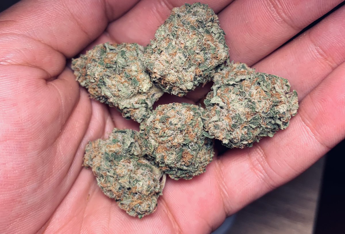 GalieZol's tweet image. Afghan Kush. 
#Local grow.
#kush #CannabisCommunity #Mzansi #Durban